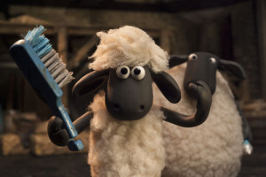 shaun haar 1-